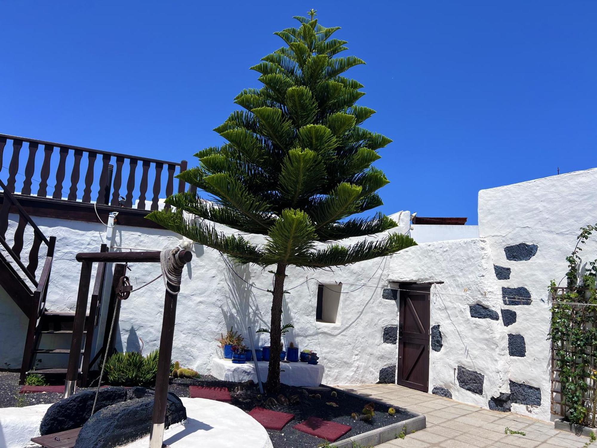 Casa Rural Estilo Canario Villa San Bartolomé Dış mekan fotoğraf